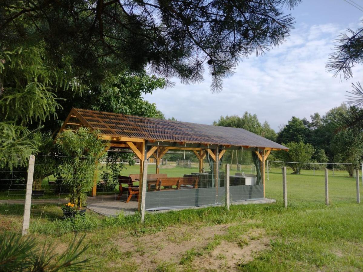 Agroturystyka Plener Miedzichowo Dış mekan fotoğraf