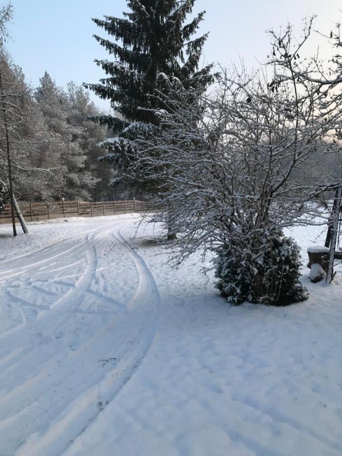 Agroturystyka Plener Miedzichowo Dış mekan fotoğraf