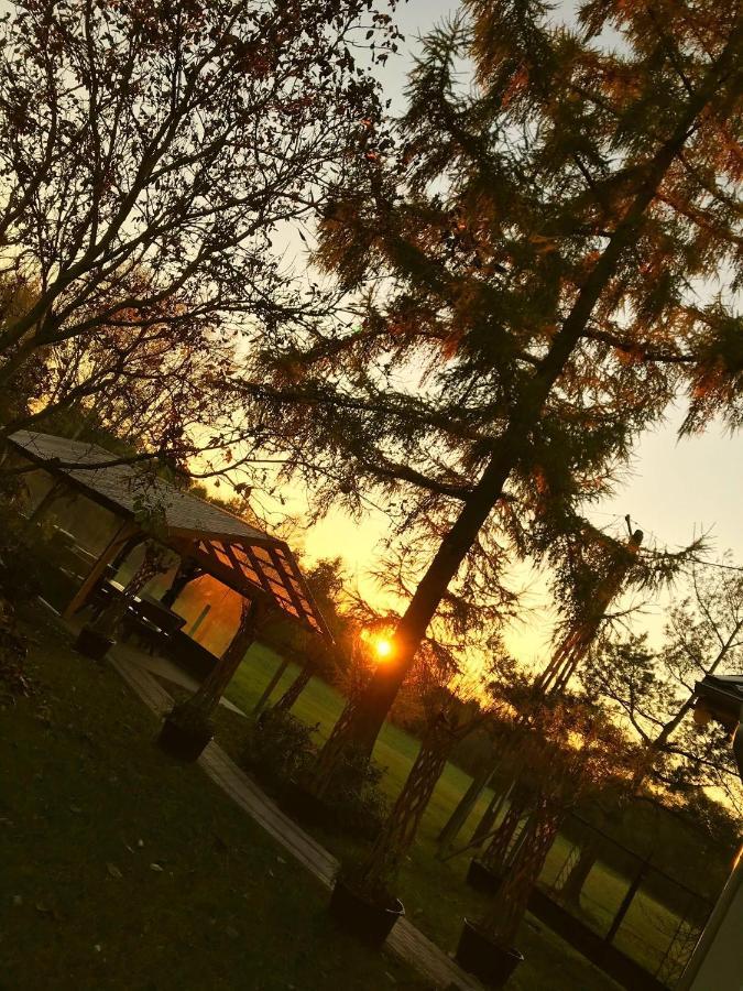 Agroturystyka Plener Miedzichowo Dış mekan fotoğraf